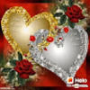 antonyantony849